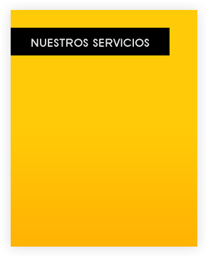 Nuestros Servicios